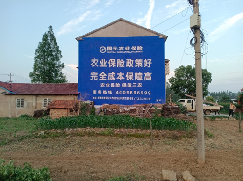 镇巴墙体广告为何受追捧？