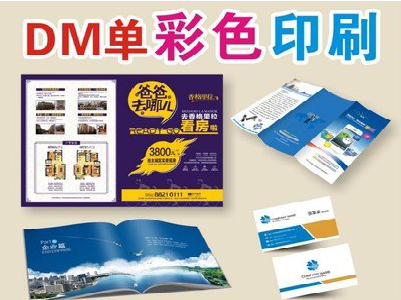 镇巴单页印刷，色彩搭配简单。